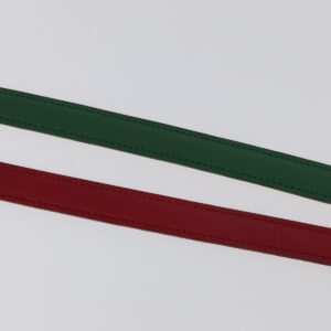Double Hole Buckle Belt Metal and Leather