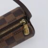 Louis Vuitton Papillon Pochette Damier