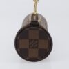 Louis Vuitton Papillon Pochette Damier