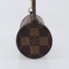 Louis Vuitton Papillon Pochette Damier